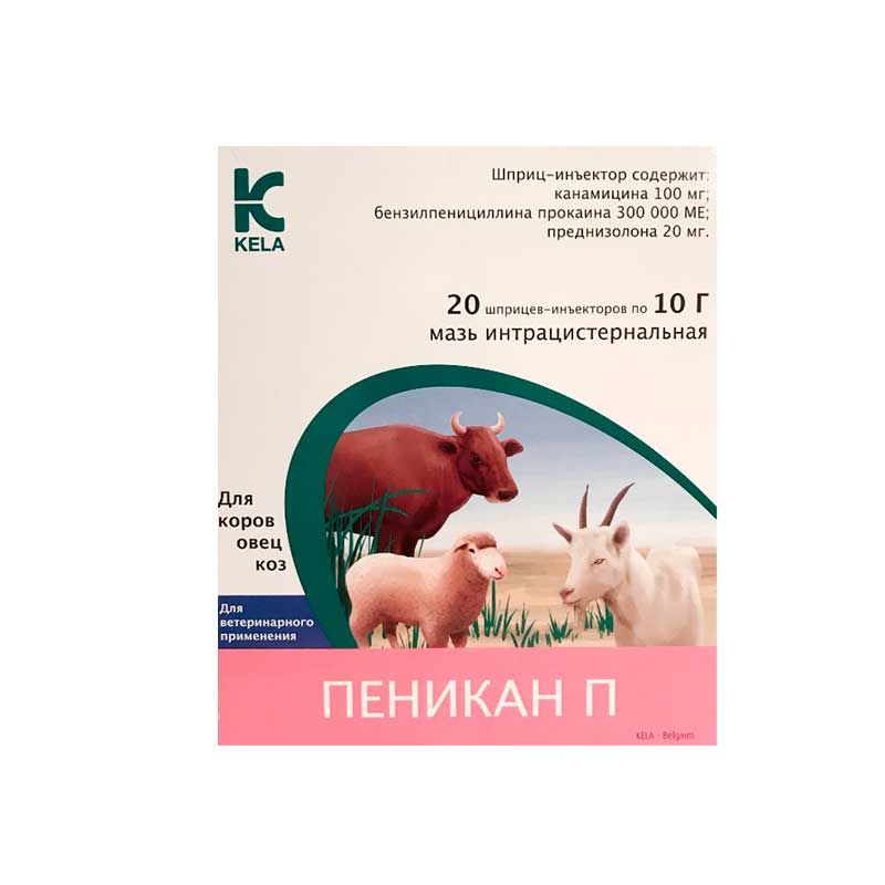 img-23