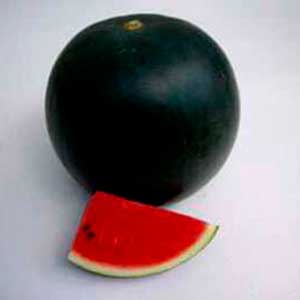 img-33